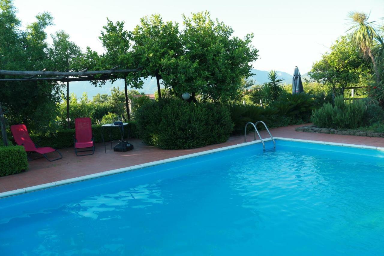 Desiderio D'Ammore Villa Corbara  Exterior photo