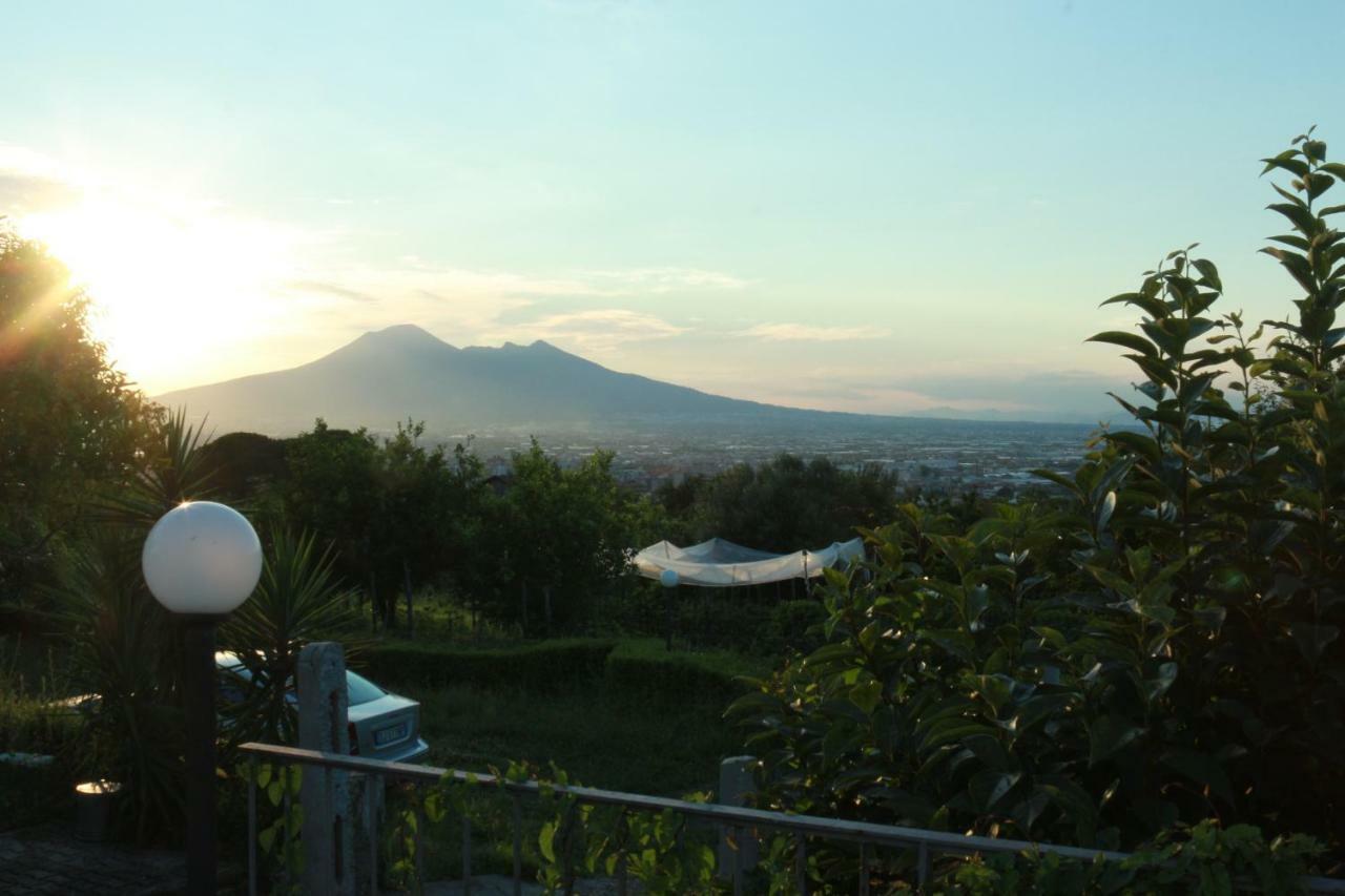 Desiderio D'Ammore Villa Corbara  Exterior photo