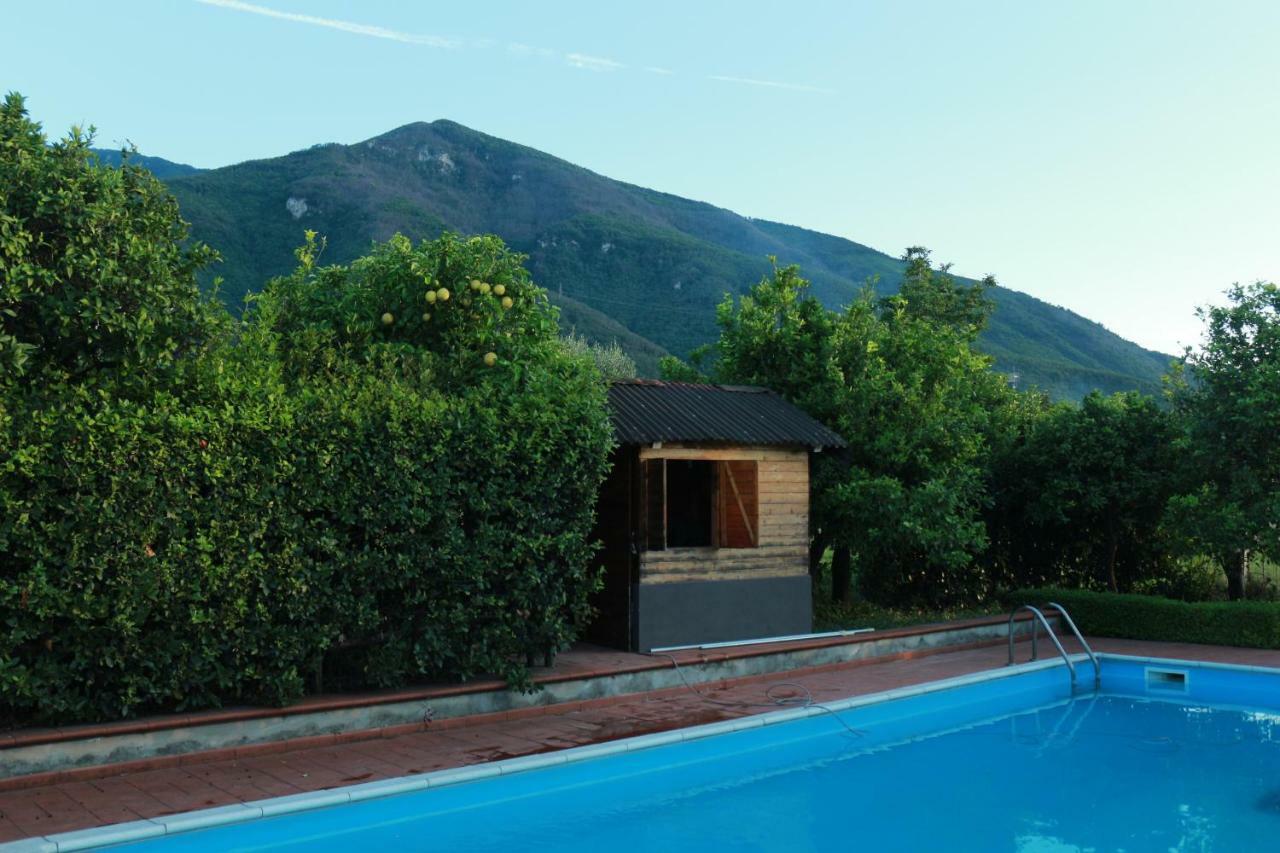 Desiderio D'Ammore Villa Corbara  Exterior photo